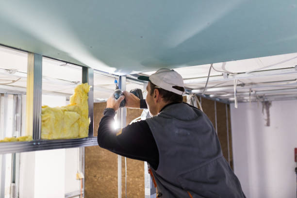 Best Cellulose Insulation in Jesup, IA