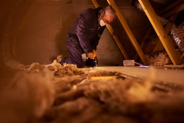 Best Spray Foam Insulation in Jesup, IA